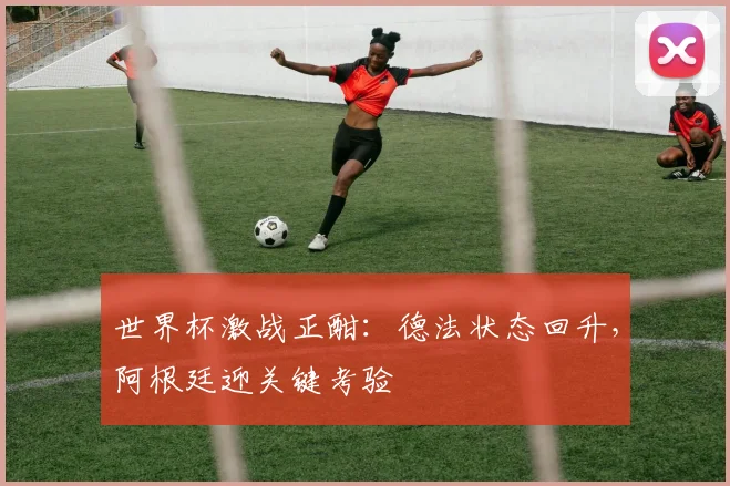 世界杯激战正酣：德法状态回升，阿根廷迎关键考验