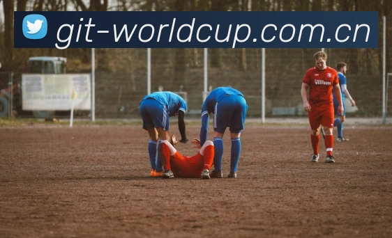 2026世界杯 App 界面预览