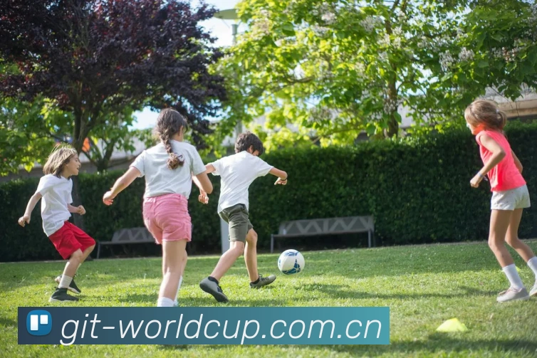 2026世界杯 多终端观赛